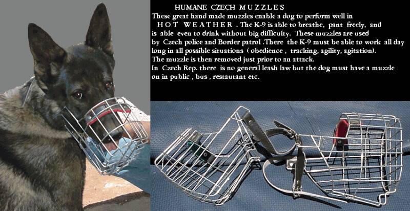 Original image from the archived Wire-Muzzle record