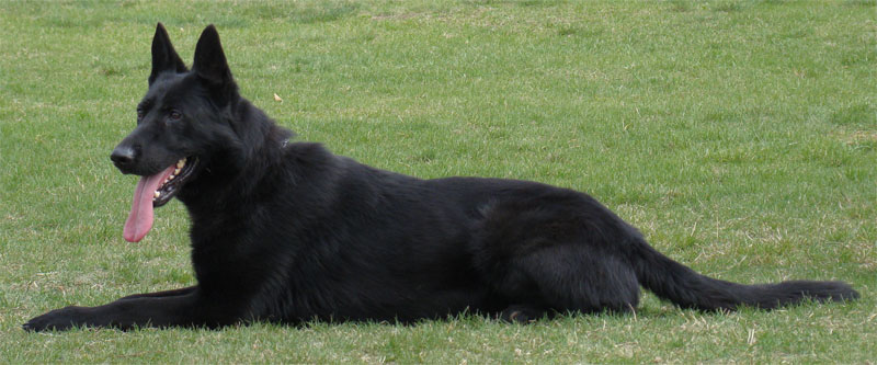 Original image from the archived RUDY record