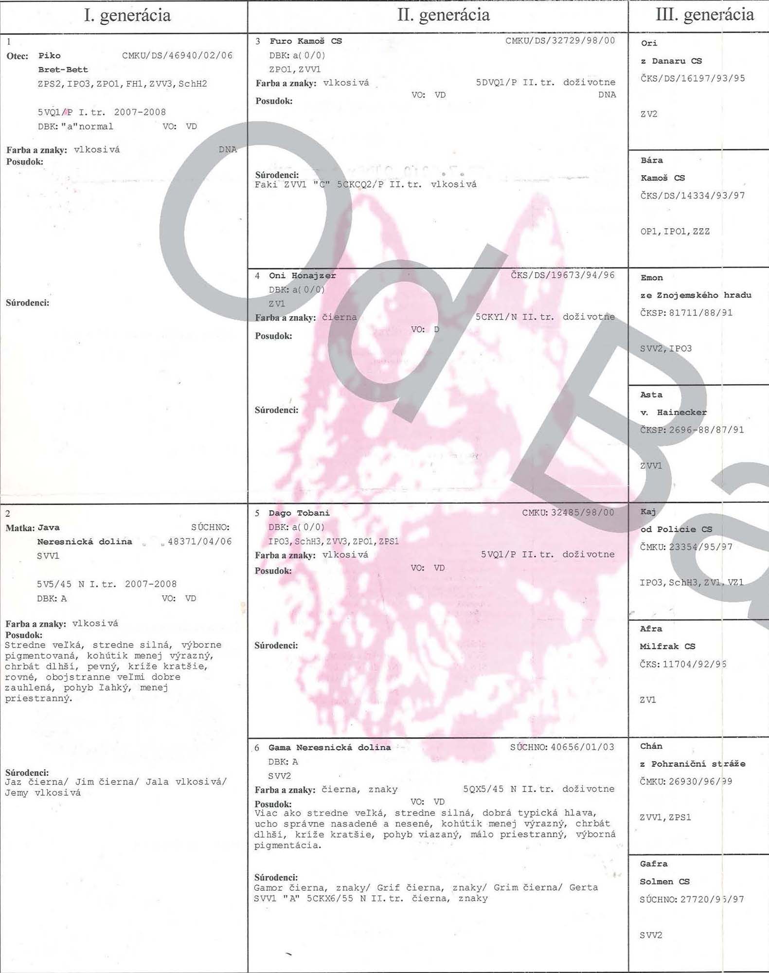 Original image from the archived BRITA Neresnicka dolina record