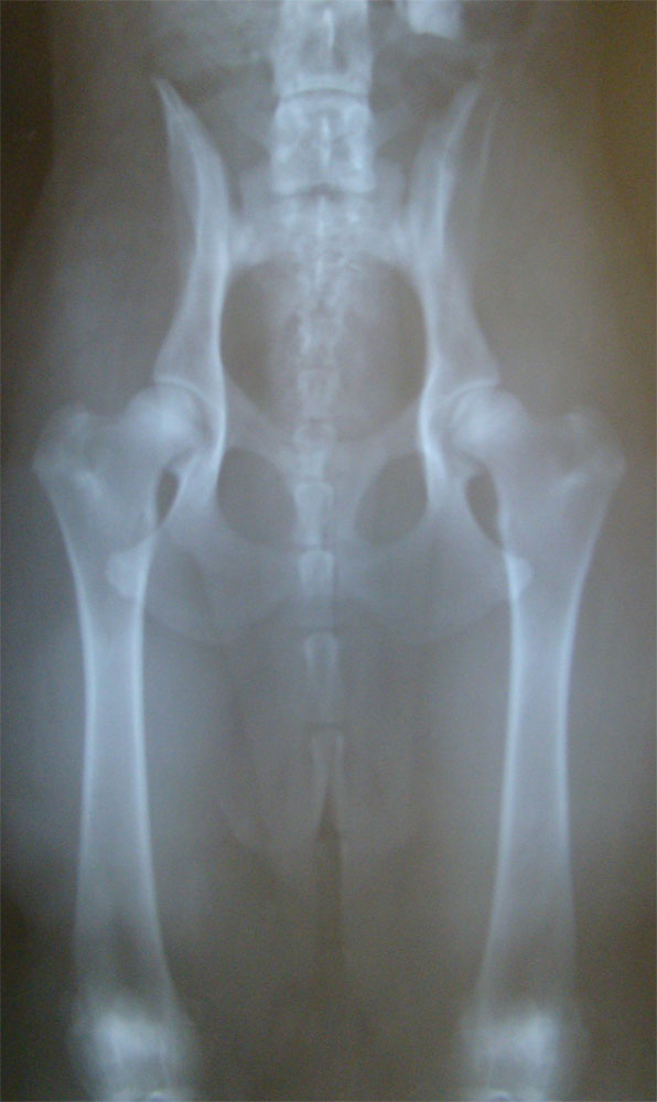 Original image from the archived UXI z Kurimskeho haje record