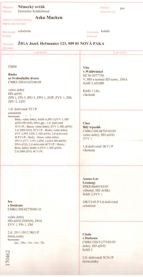 Original image from the archived ASKO Macken record