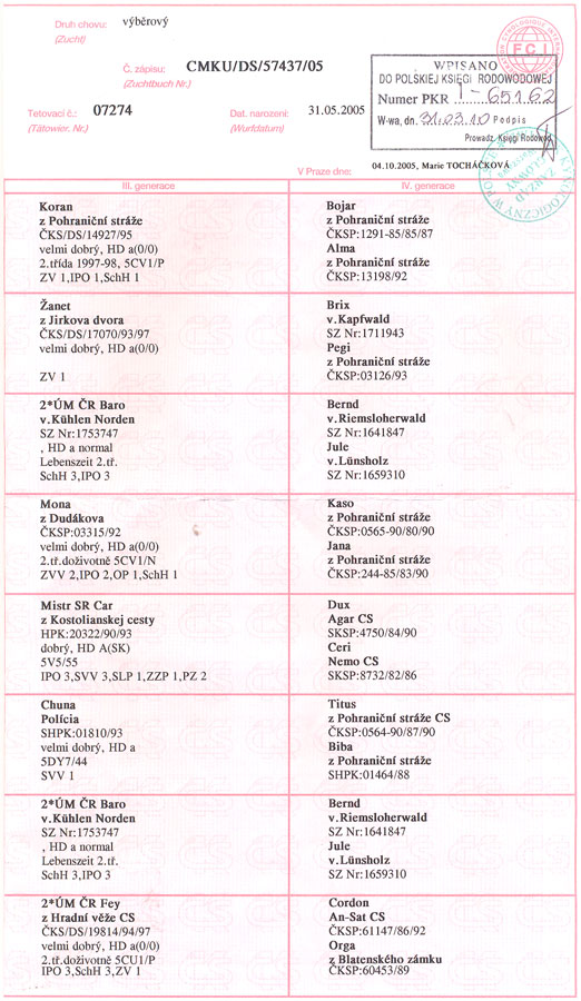 Original image from the archived ELA Jipo Me record