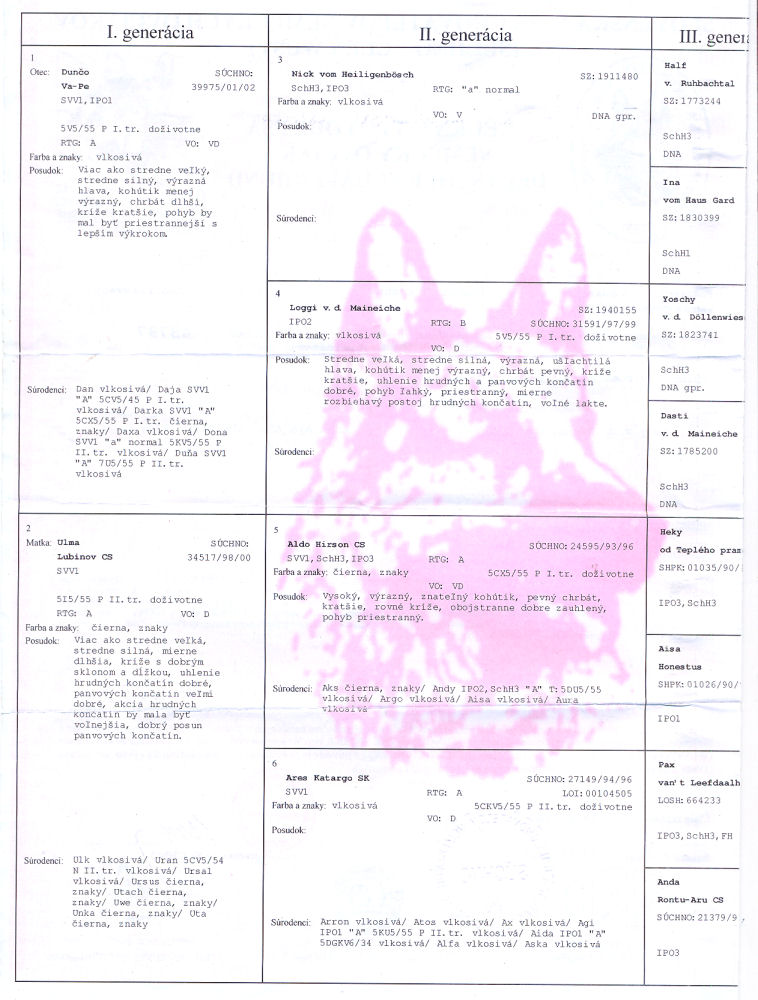 Original image from the archived ADA Lubinov Slovakia record
