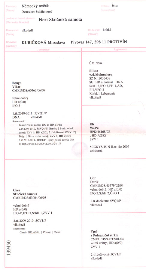 Original image from the archived NERI Skocicka samota record