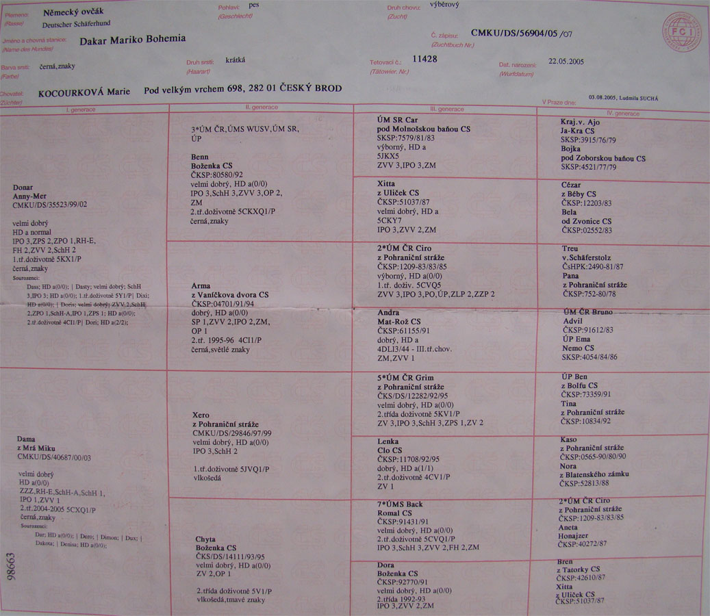 Original image from the archived DAKAR Mariko Bohemia record
