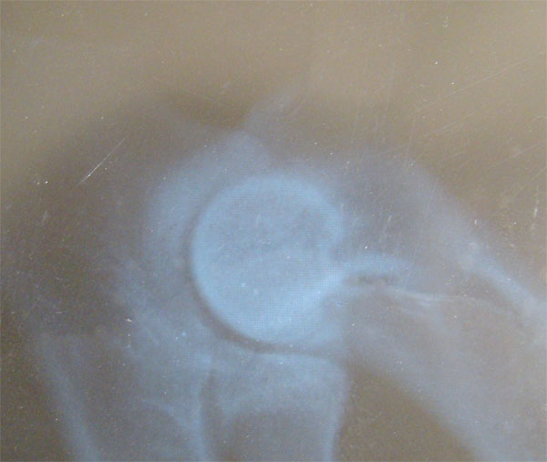 Original image from the archived HANDY z Hromadneho record