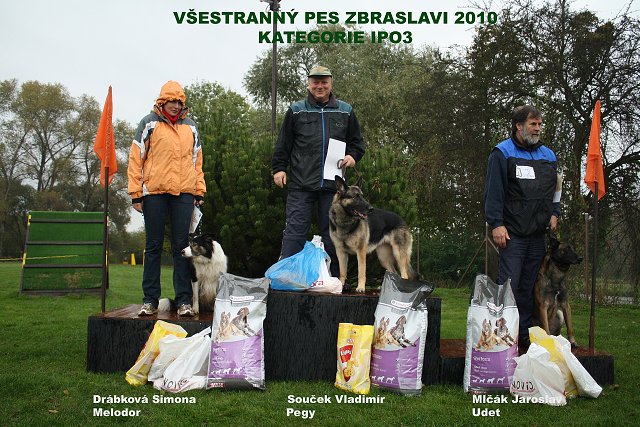 Original image from the archived CHARI z Esagilu x PEGY z Golha litter record