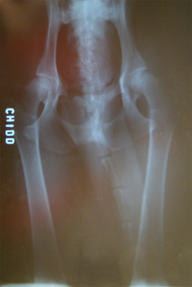 Original image from the archived CHYDD z Targenu record