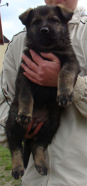 Original image from the archived BADY ze Svobodneho dvora x BRITA Neresnicka Dolina record