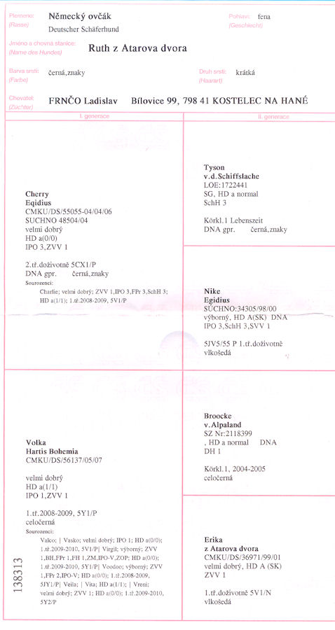 Original image from the archived RUTH z Atarova dvora record
