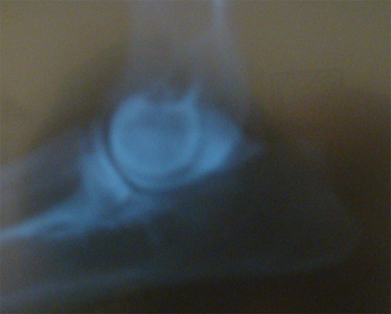 Original image from the archived CADDY z Herodesova domu record