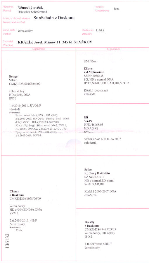 Original image from the archived call name SUNNY record