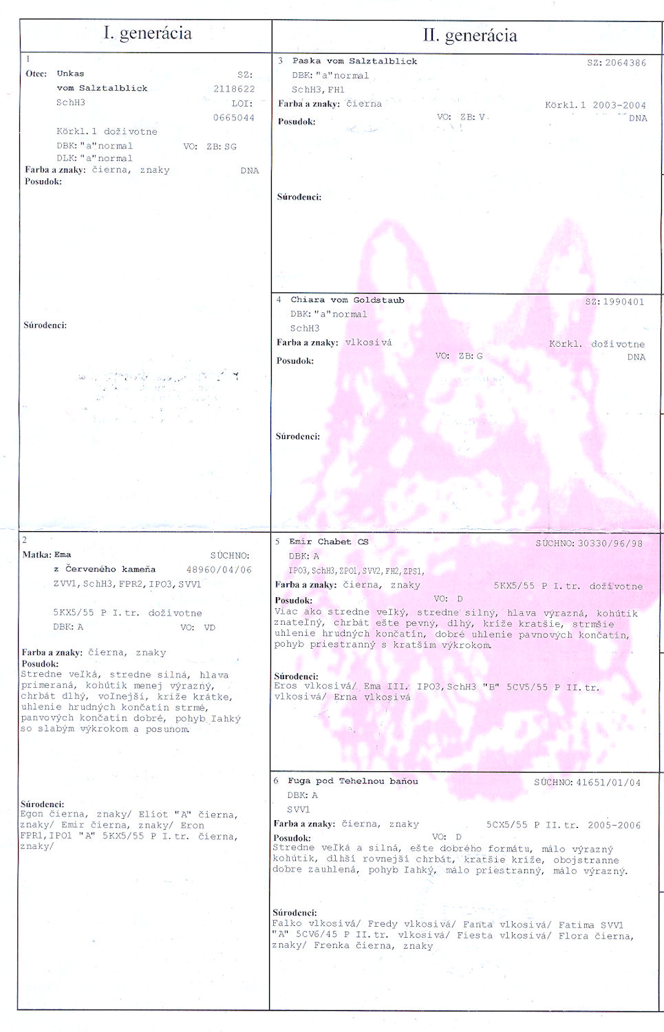 Original image from the archived NURI Black Chabet record