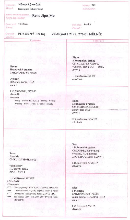 Original image from the archived RENC Jipo-Me record