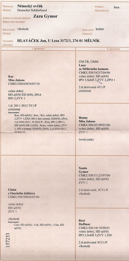 Original image from the archived ZAZU Gymor record