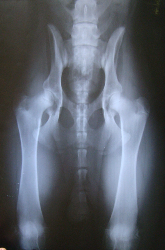 Original image from the archived Miky z Vetrneho vrchu record