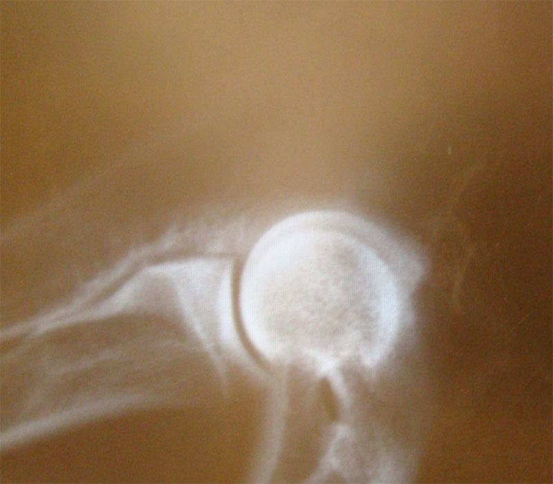 Original image from the archived Alpine K9 - MAX record