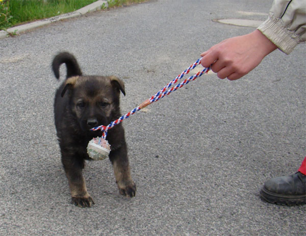 Original image from the archived BADY ze Svobodneho dvora x BRITA Neresnicka Dolina record