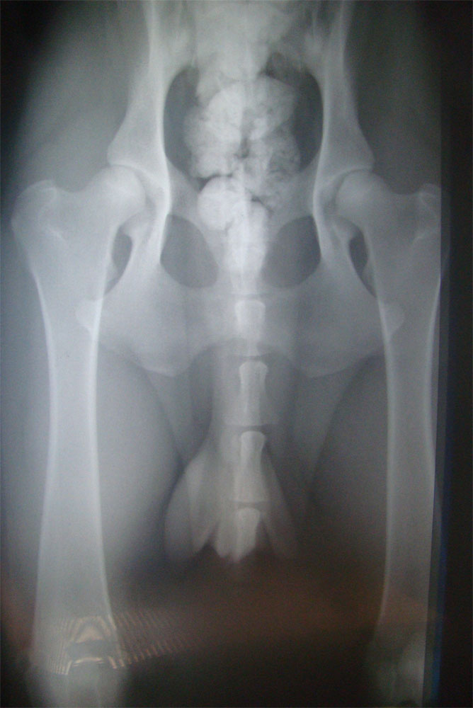 Original image from the archived ORBE record