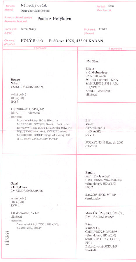 Original image from the archived PAULA z Holikova record