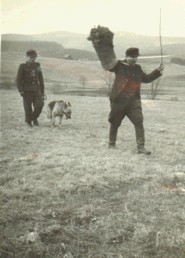Original image from the archived Alpine K9 Consultation Services record