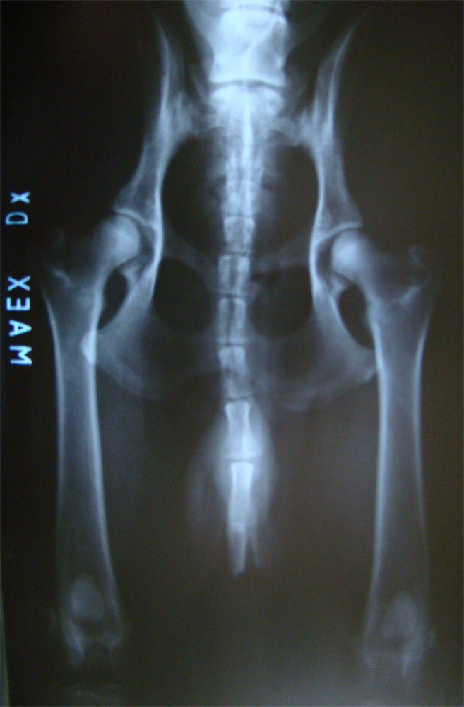 Original image from the archived MAEX von der Piste Trophe record