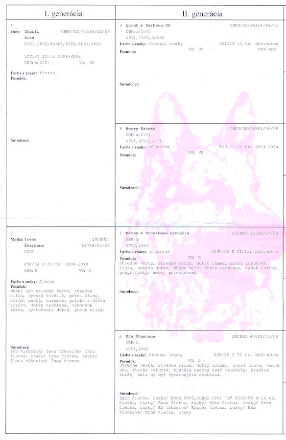 Original image from the archived COSMO z Hronskeho nabrezia record