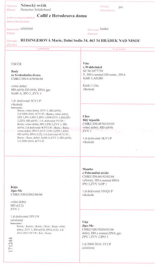 Original image from the archived CALLIF z Herodesova domu record