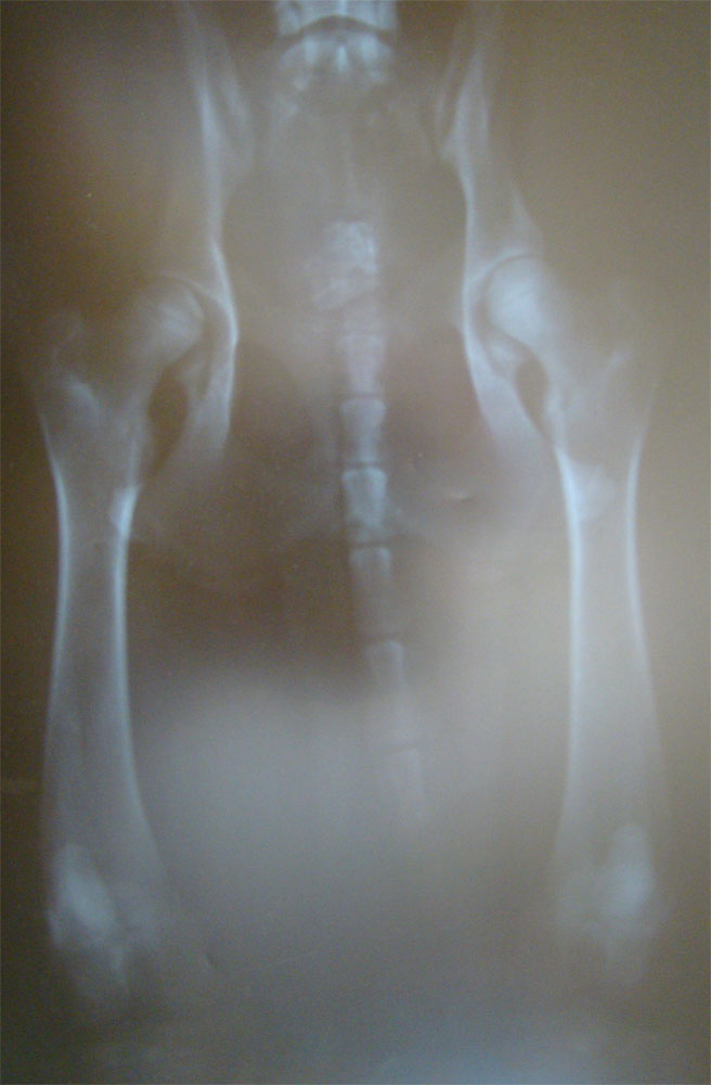 Original image from the archived HERA Denbrix record