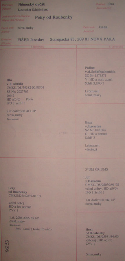 Original image from the archived JAGO Jipo Me x PETTY od Roubenky record