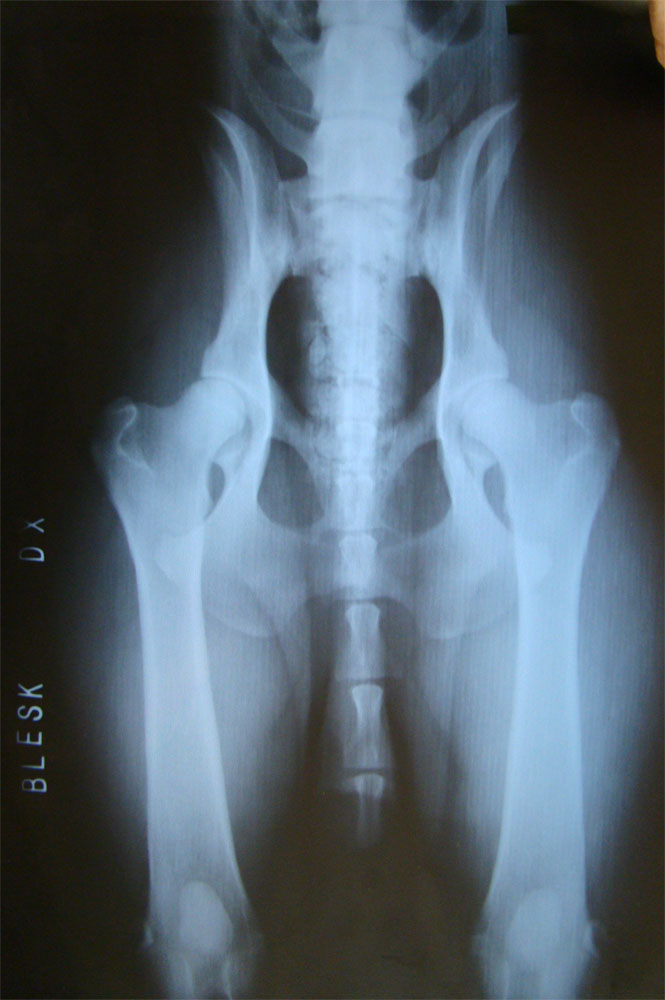 Original image from the archived BLESK record