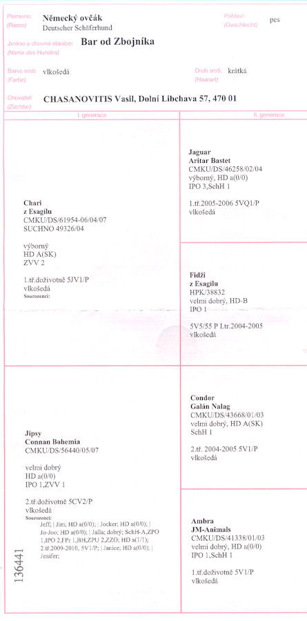 Original image from the archived BAR od Zbojnika record