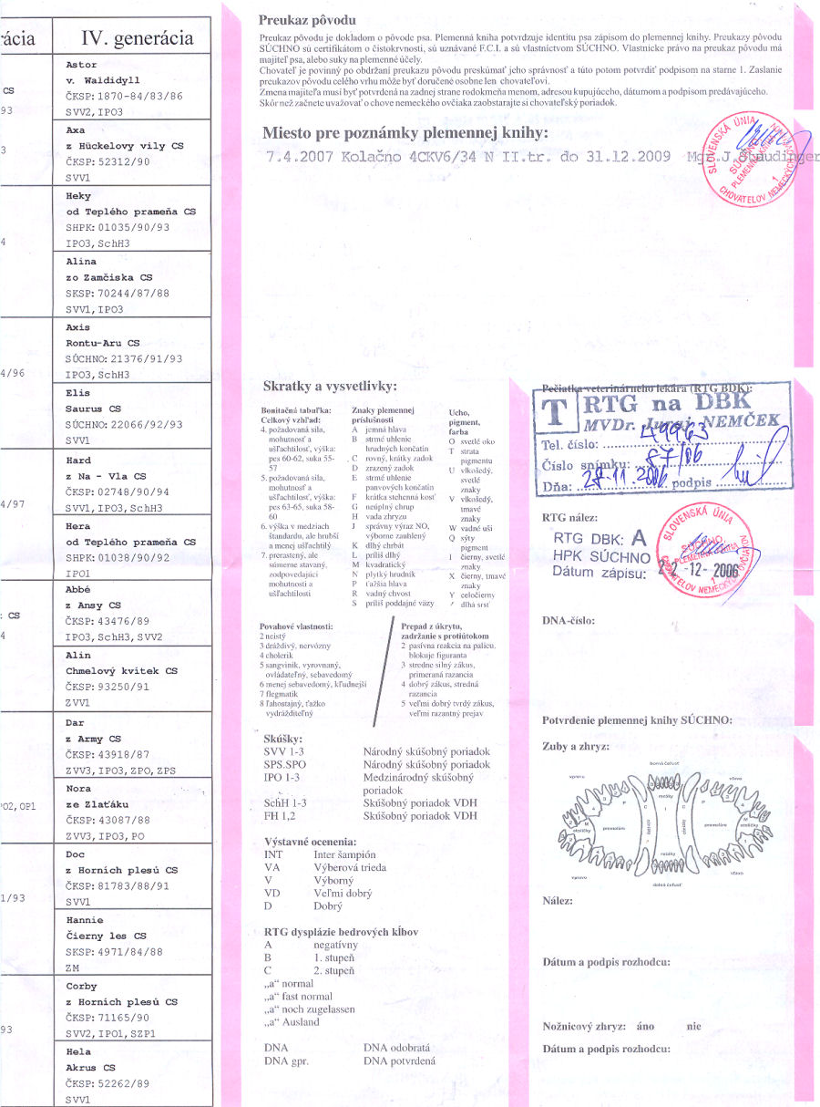 Original image from the archived BRYTA z Ajkinej nadeje record