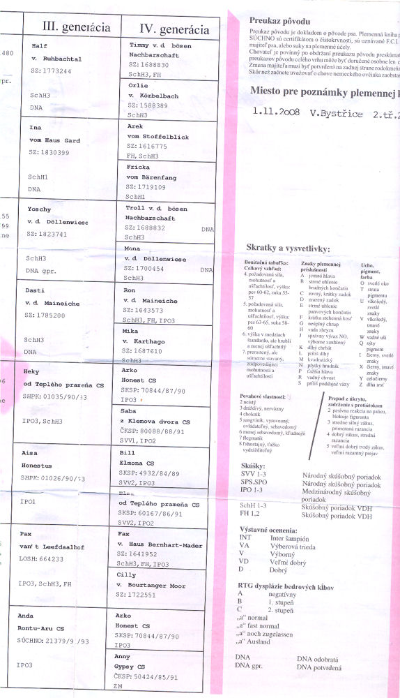 Original image from the archived ADA Lubinov Slovakia record