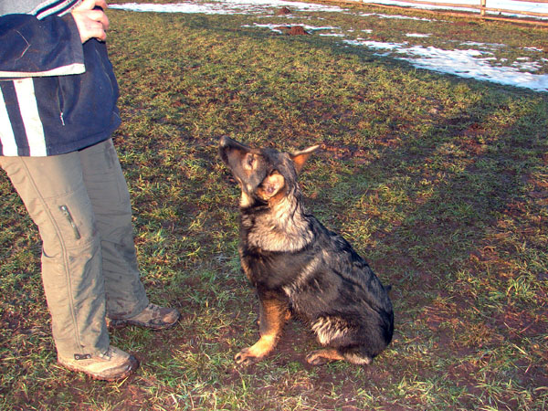 Original image from the archived BADY ze Svobodneho dvora x PETTY od Roubenky record