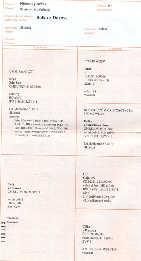 Original image from the archived BOLKO z Duxova record