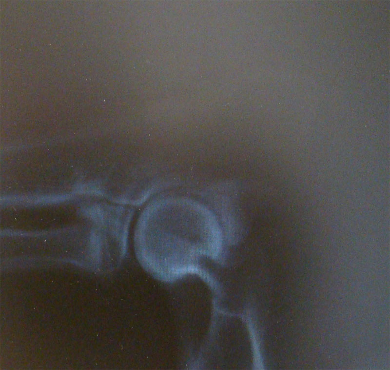 Original image from the archived HERA Denbrix record