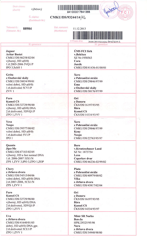 A'BRUNO pod Blanikem, UMR IPO3, UMMCKNO IPO3 — pedigree scan 2
