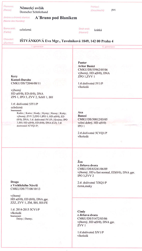 A'BRUNO pod Blanikem, UMR IPO3, UMMCKNO IPO3 — pedigree scan 1