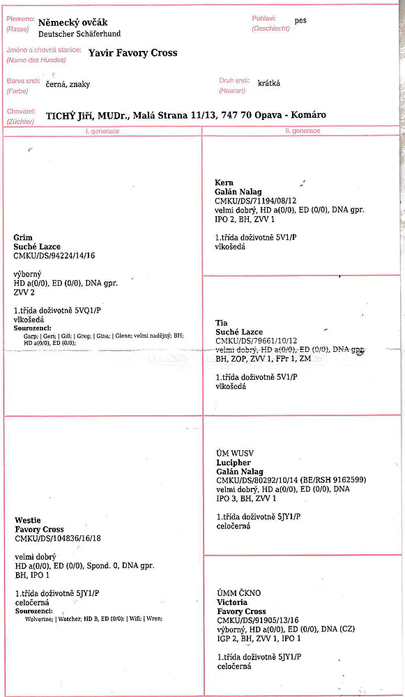 Yavir Favory Cross — pedigree scan 1