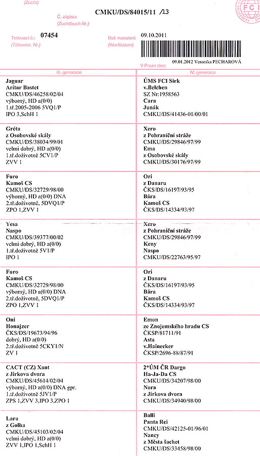 Jokas z Jirkova dvora — pedigree scan 2