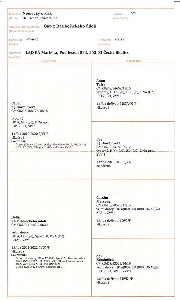 Gap z Ratiborickeho udoli — pedigree scan 1