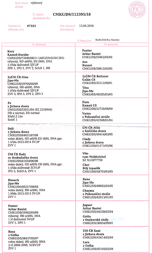 JEFY z Jirkova dvora — pedigree scan 2