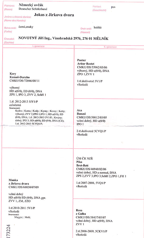 Jokas z Jirkova dvora — pedigree scan 1