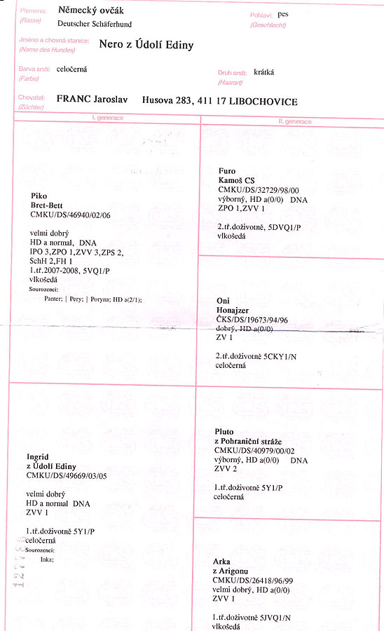 Nero z Udoli Ediny — pedigree scan 1
