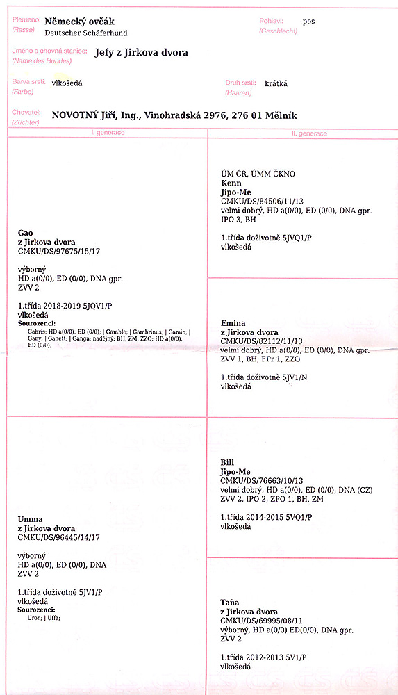 JEFY z Jirkova dvora — pedigree scan 1