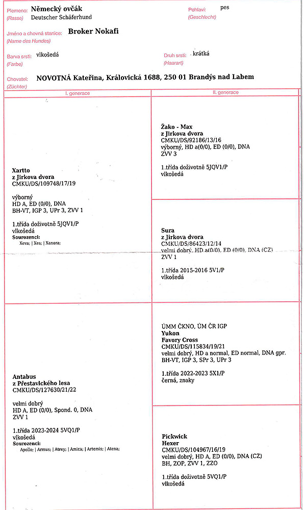 Broker Nokafi — pedigree scan 1