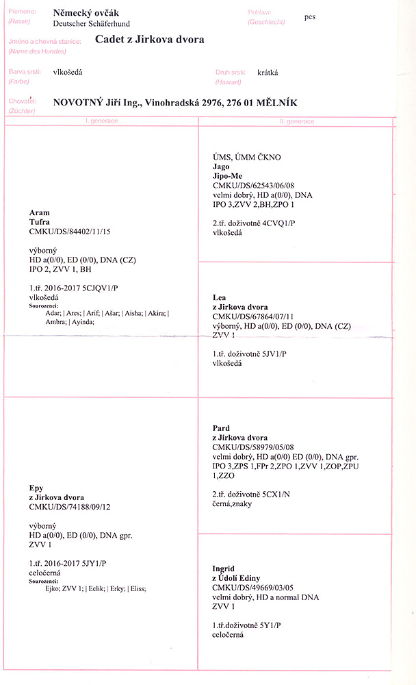 Cadet z Jirkova dvora — pedigree scan 1