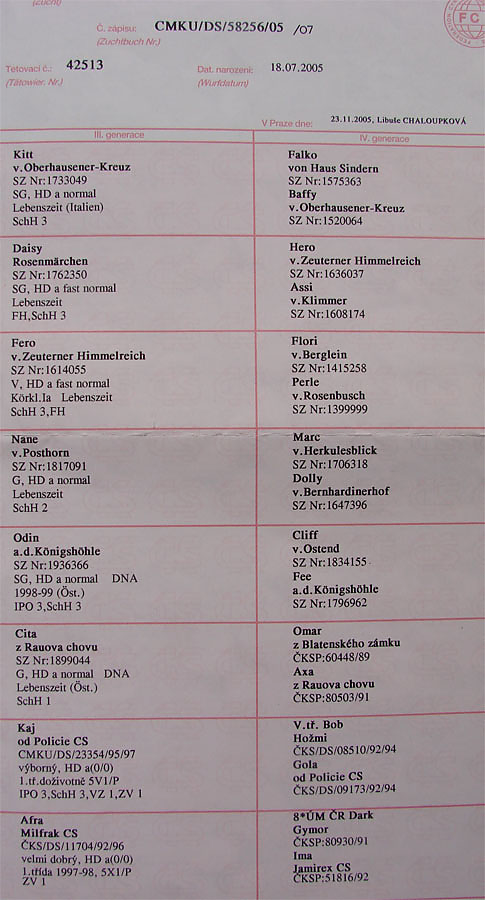 Pard Fihrak — pedigree scan 2