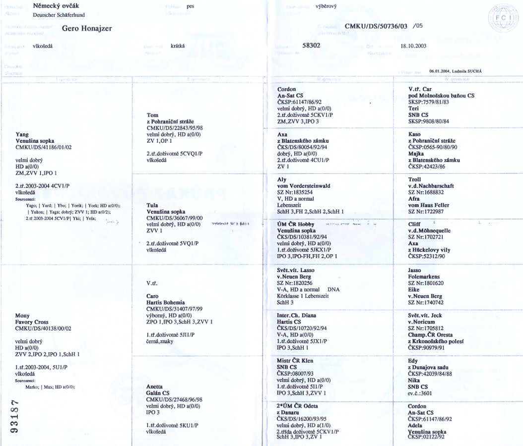 Gero Honajzer — pedigree scan 1